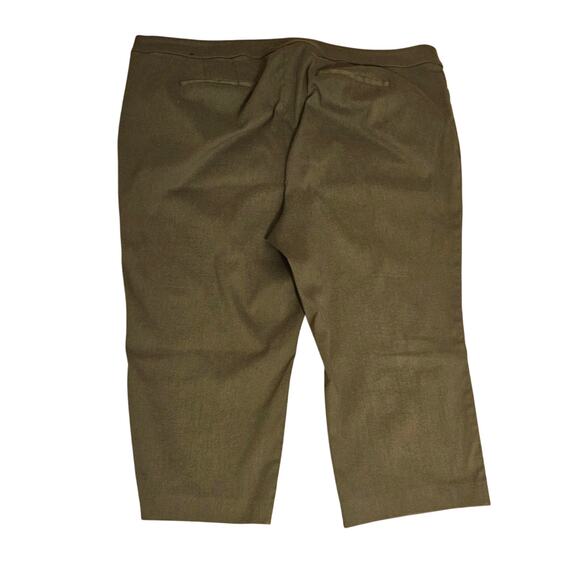 Lane Bryant Green Casual Slacks Career Pants Womens Plus Size 24 - Picture 2 of 6